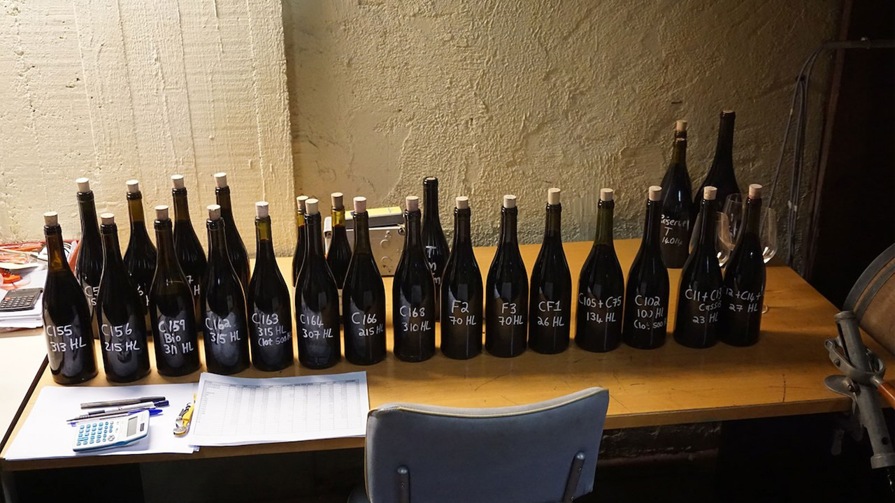 Châteauneuf-du-Pape 2015 | Xavier Vignon