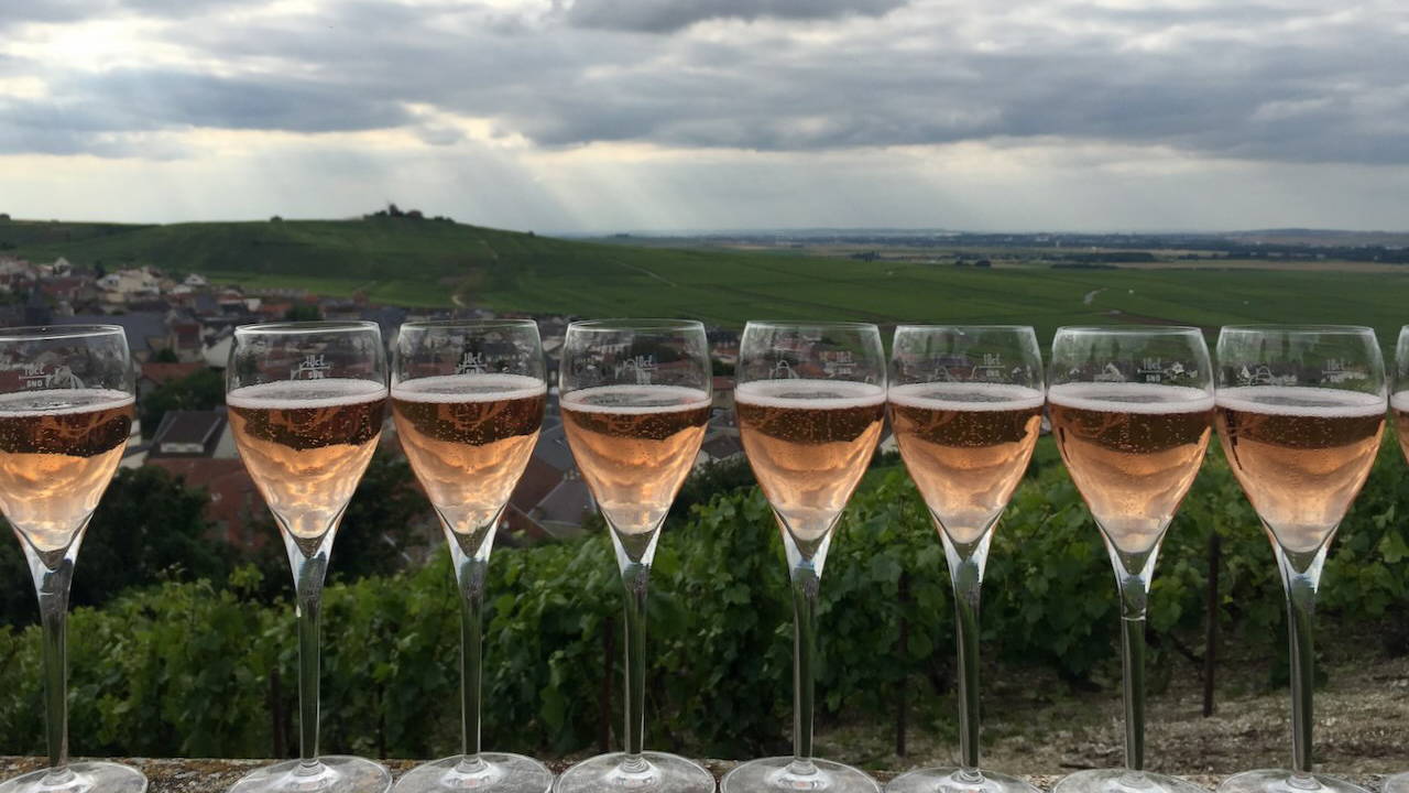 Champagne 2016 | Gosset